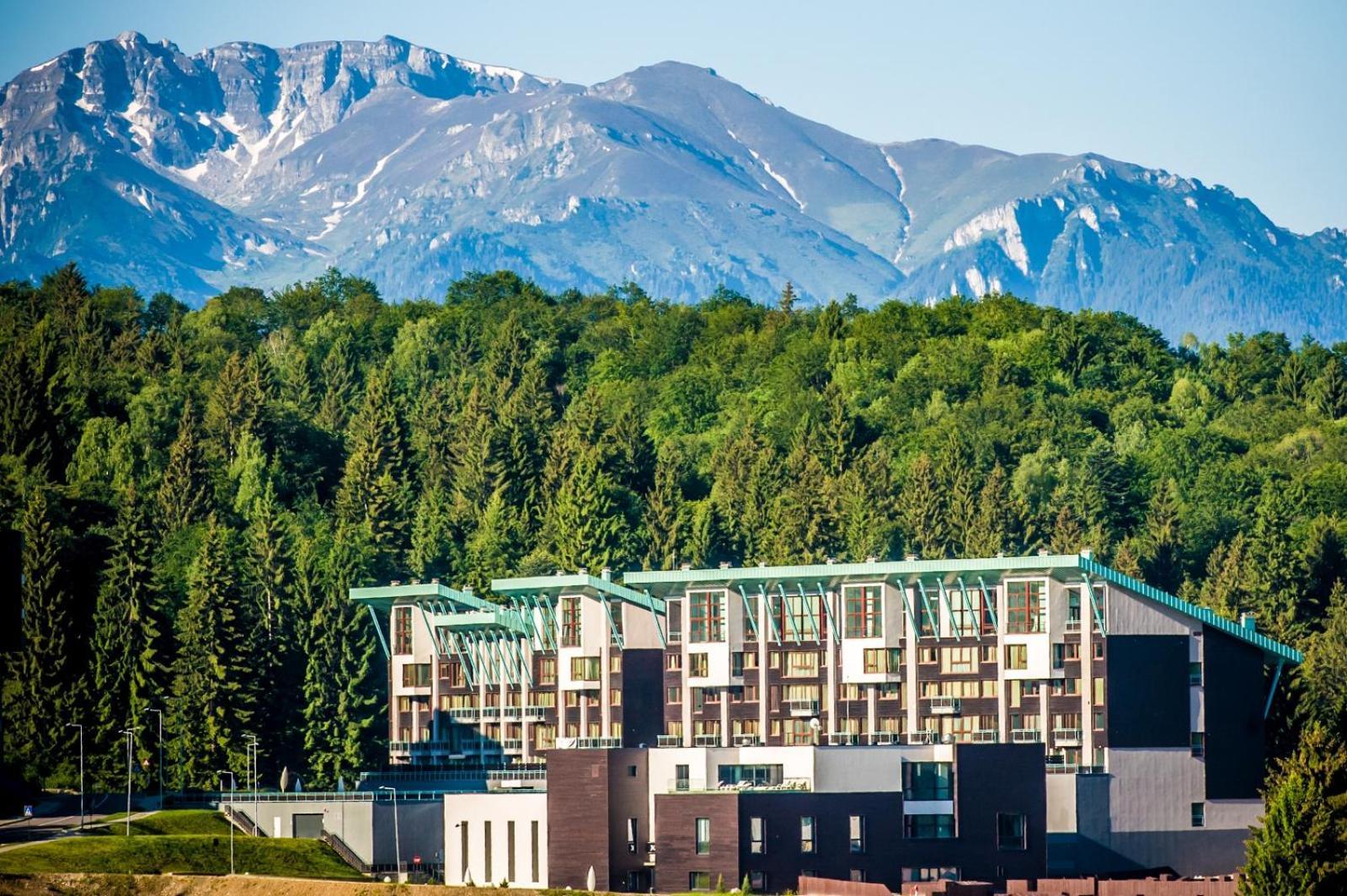 Art Gallery Apartment In Silver Mountain 波亚纳布拉索夫 外观 照片